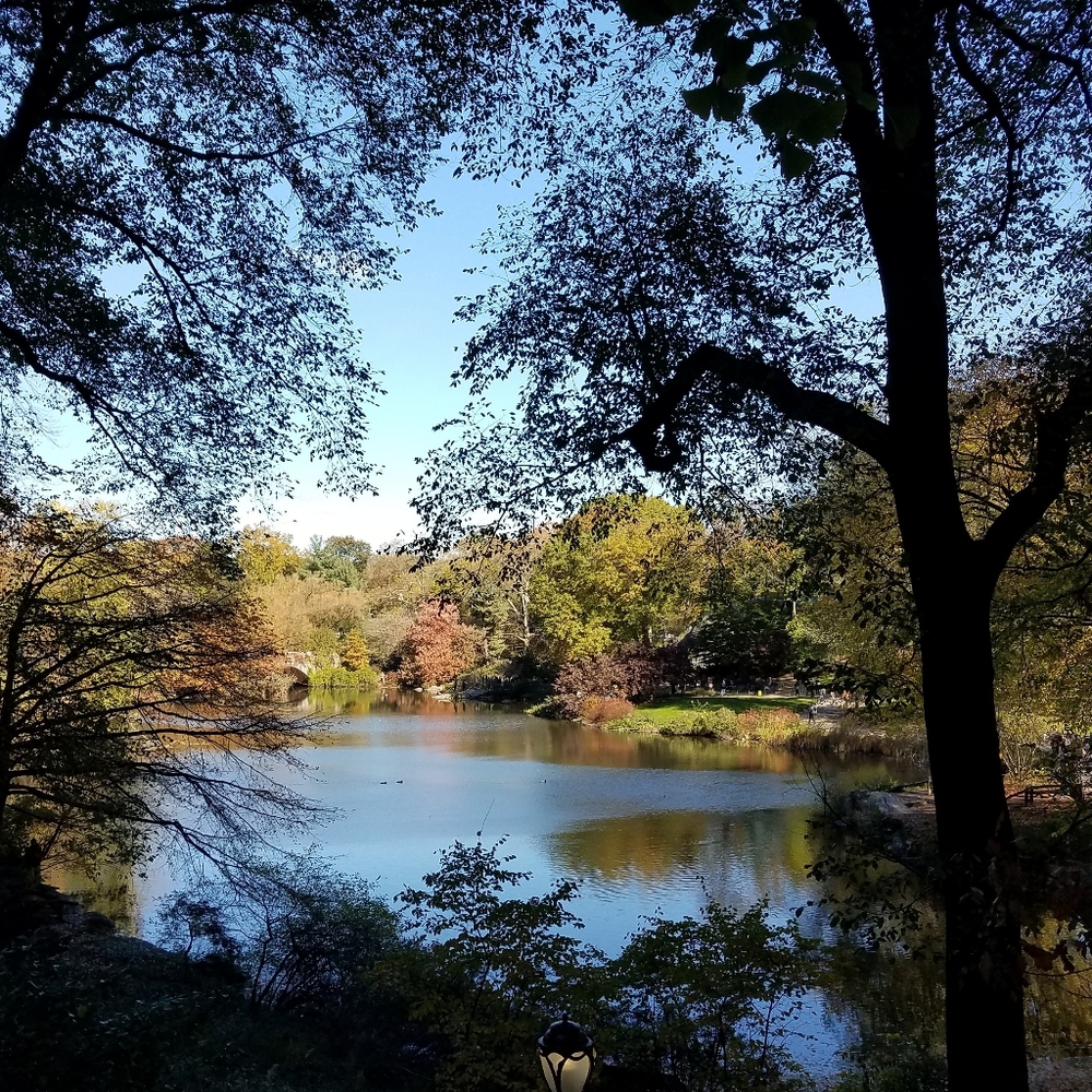 Meet your Posher, Stacey